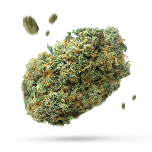 Peanut Butter Breath - Cannabissorte