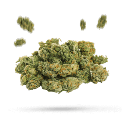 Red Haze - Cannabissorte