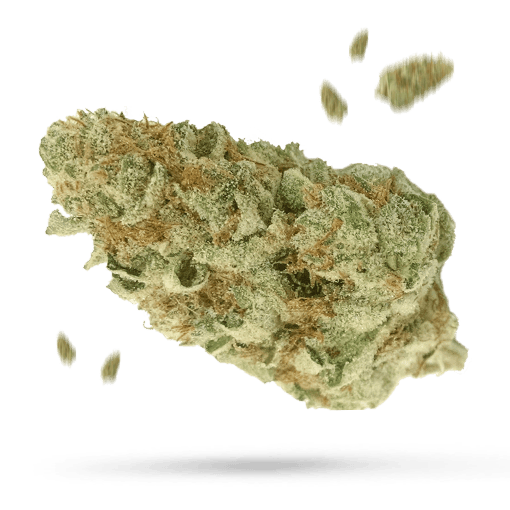 Sherbert - Cannabissorte