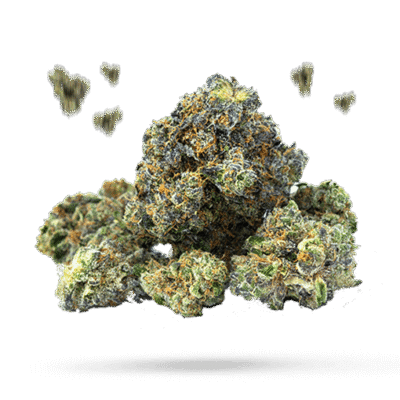 Silver Train - Cannabissorte