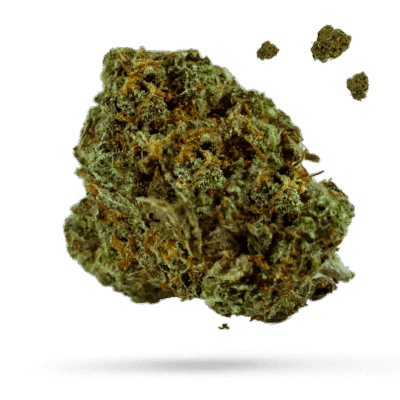 White Cherry Truffle - Cannabissorte
