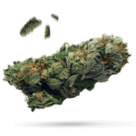 White Runtz - Cannabissorte