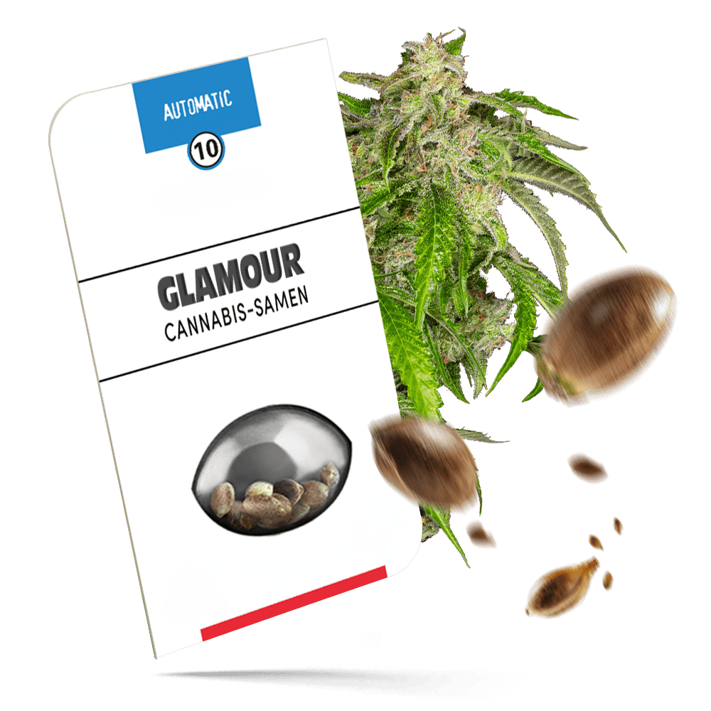 Glamour Samen - Autoflower - Sensi Seeds