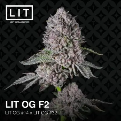 LIT OG F2 - Alchimia