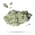 Pure Power Plant Samen - Autoflower