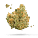 Sticky Orange XXL Samen - Autoflower