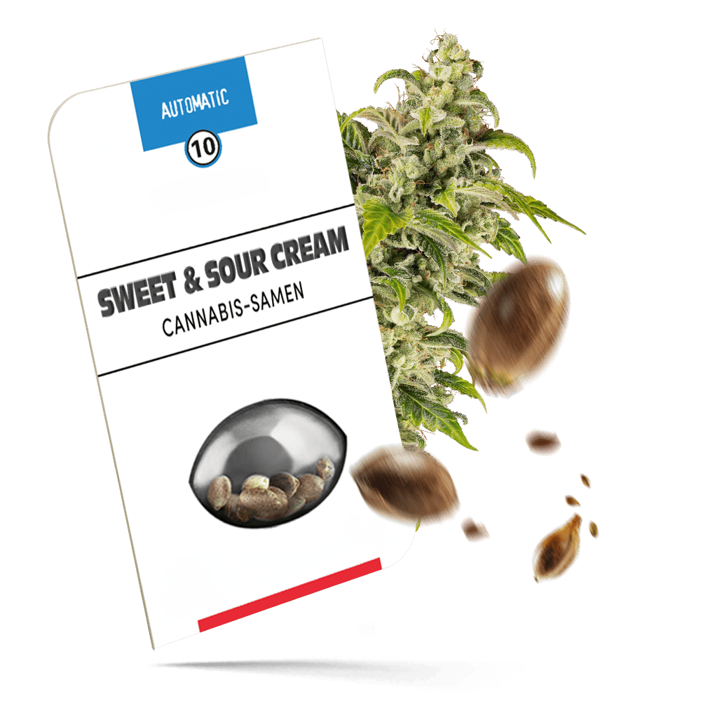 Sweet & Sour Cream Samen - Autoflower - Sensi Seeds