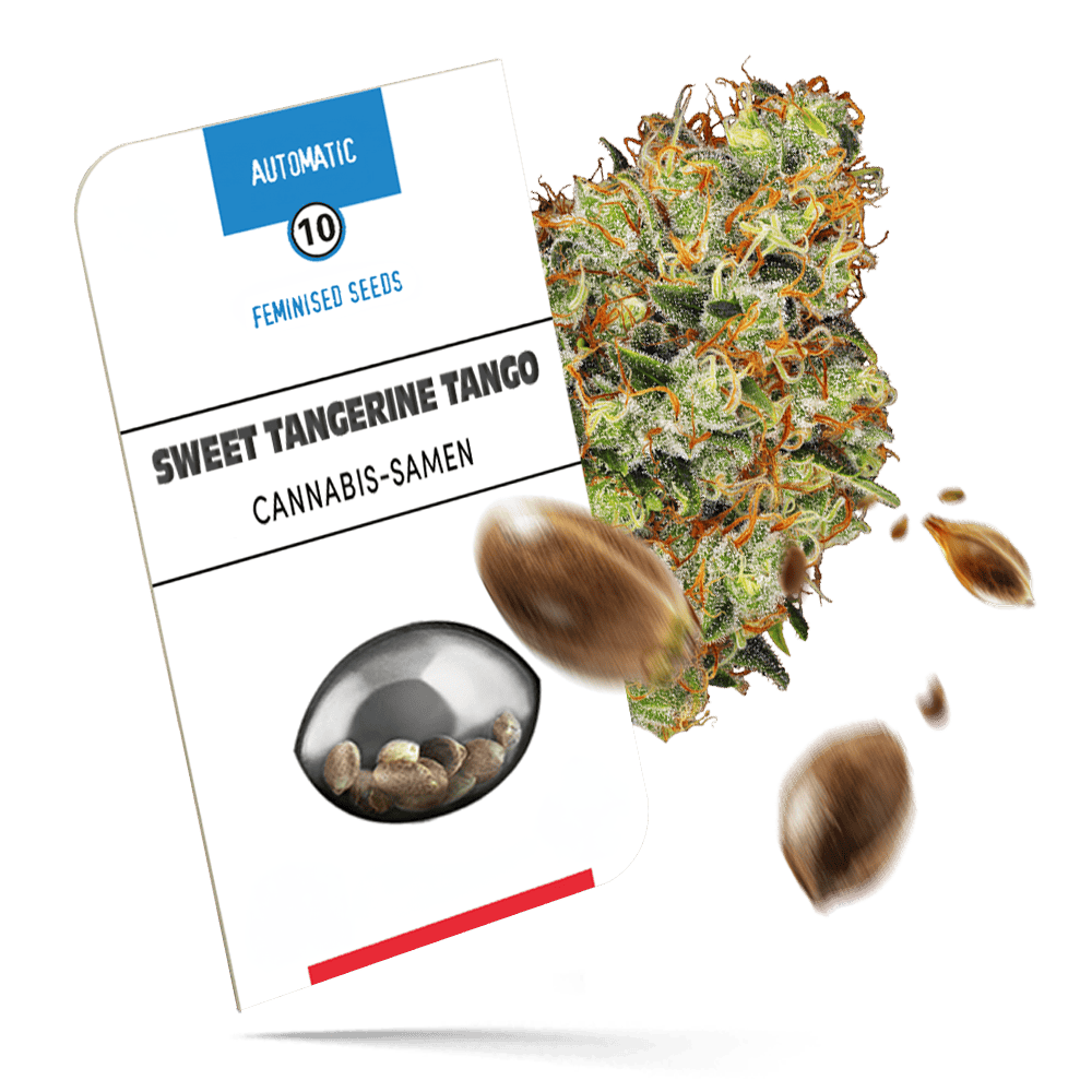 Sweet Tangerine Tango Samen - Autoflower - Sensi Seeds