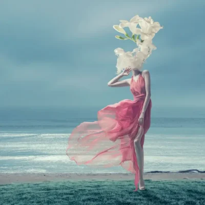 Zweet Inzanity RBX - Alchimia