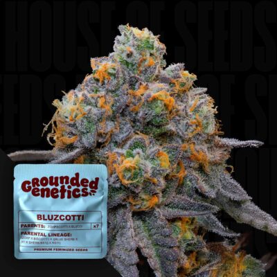 Bluzcotti - House of Seeds