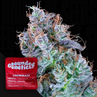 Chemikaze - House of Seeds