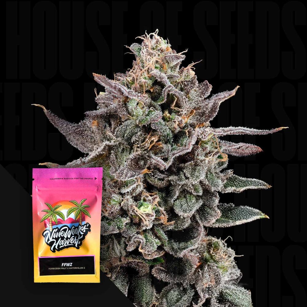 FFWZ - House of Seeds