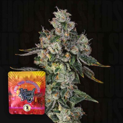 L.i.i.t - House of Seeds