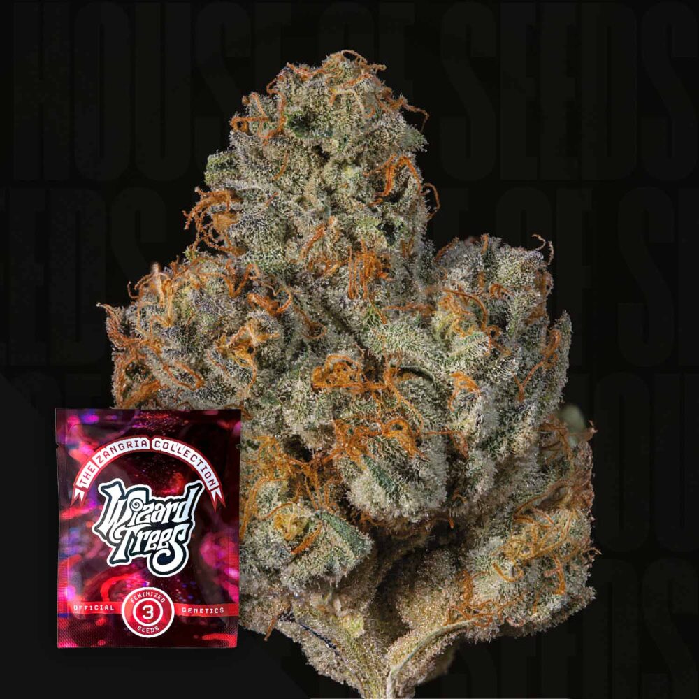 Last pour - House of Seeds