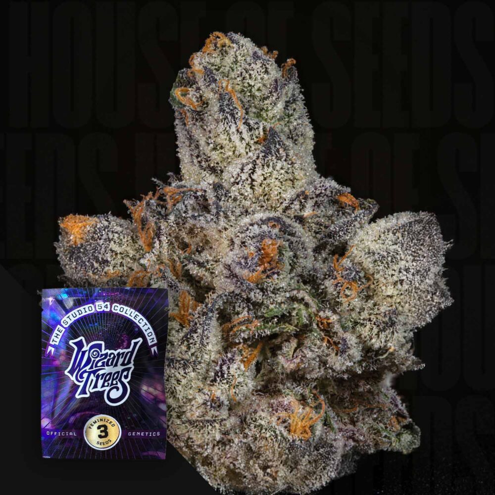 Lemon Fever - House of Seeds