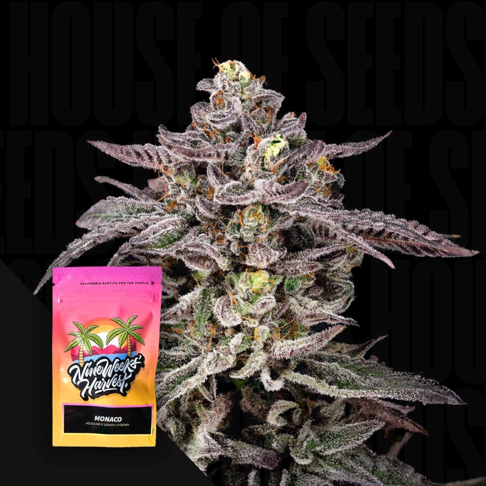 Monaco - House of Seeds