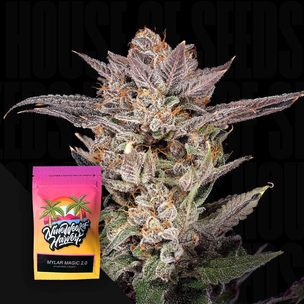 Mylar Magic 2.0 - House of Seeds
