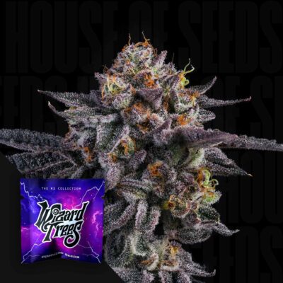 The Keeper - House of Seeds