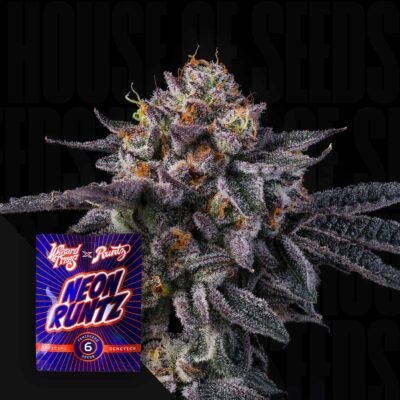 Vice Runtz - House of Seeds