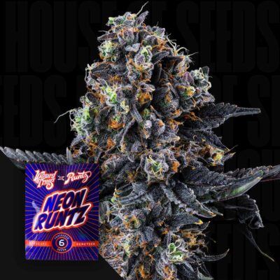 White Soho - House of Seeds