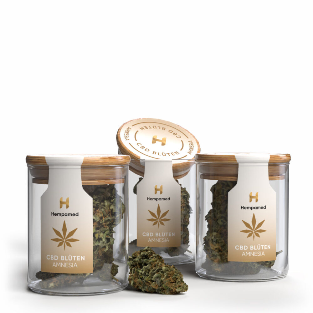 3x Hempamed Amnesia Blüten 2 g - Hempamed