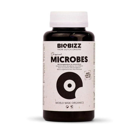 Biobizz Microbes