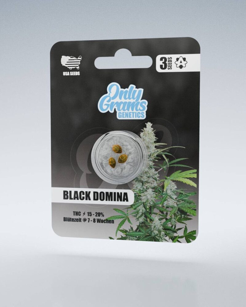 Black Domina THC-Seeds - Only Grams