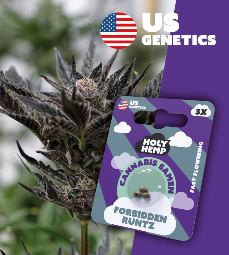 Forbidden Runtz Cali Seeds - Holy Hemp