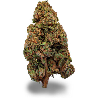 Gorilla Glue - CBDIA