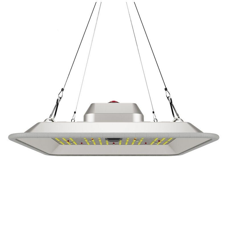 Greenception GC-Pure 80W - Grow Guru