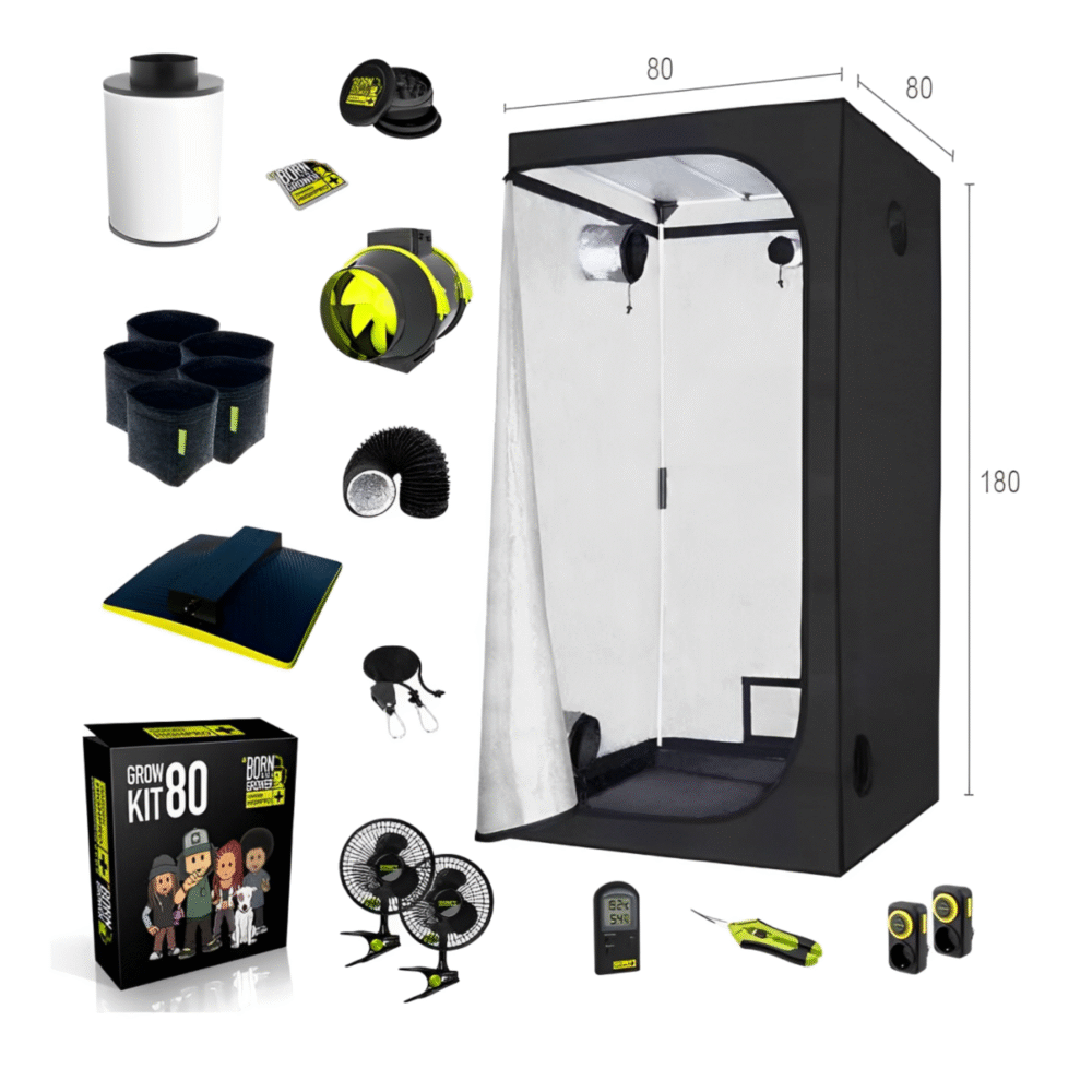 Growbox Komplettset 80x80 - Lucky Hemp