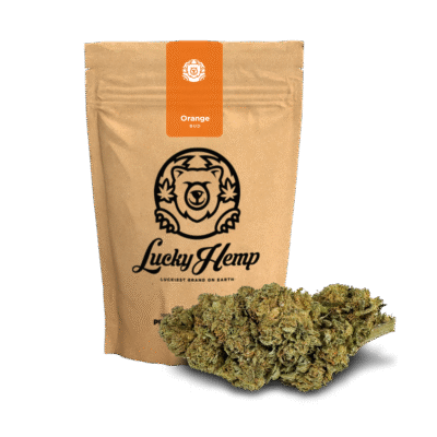 Orange Bud Ökopack - Lucky Hemp