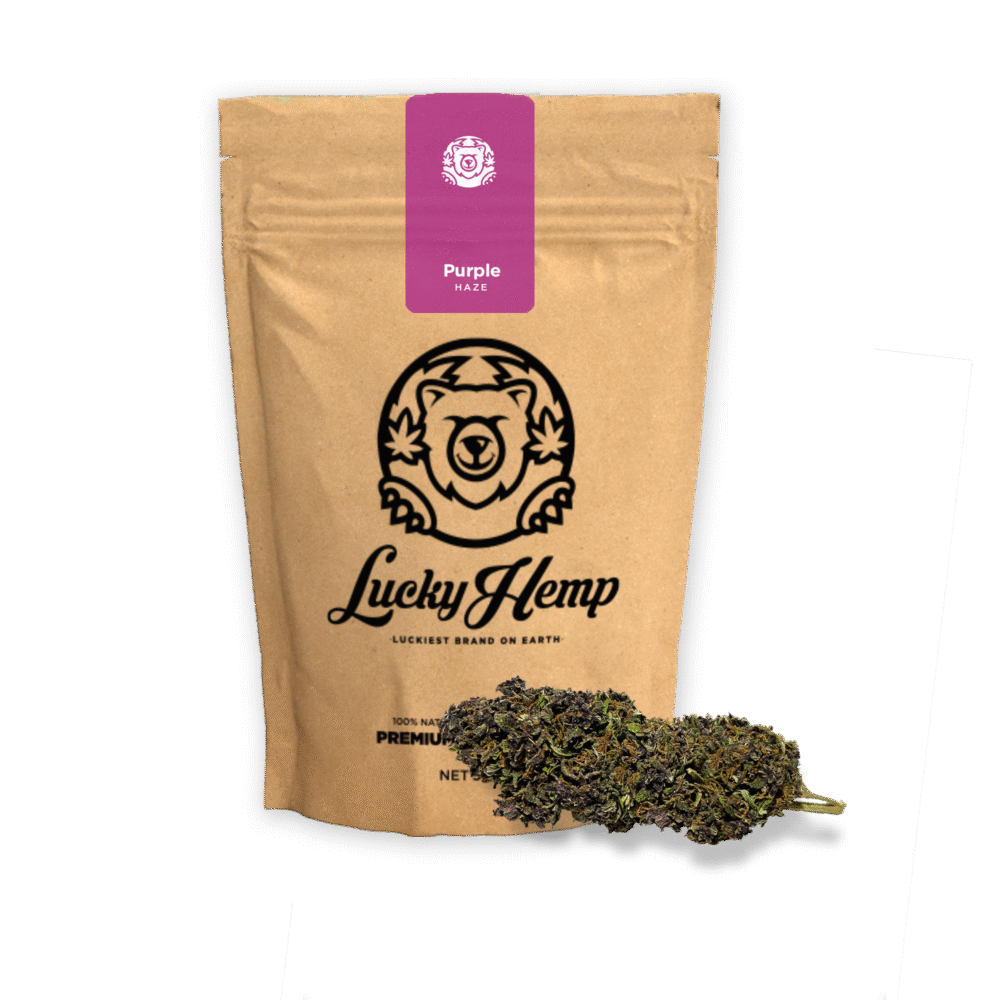 Purple Haze Ökopack - Lucky Hemp
