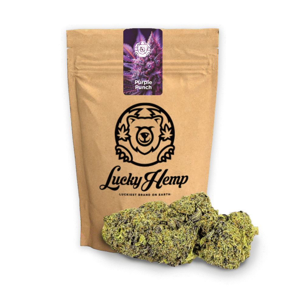 Purple Punch Ökopack - Lucky Hemp
