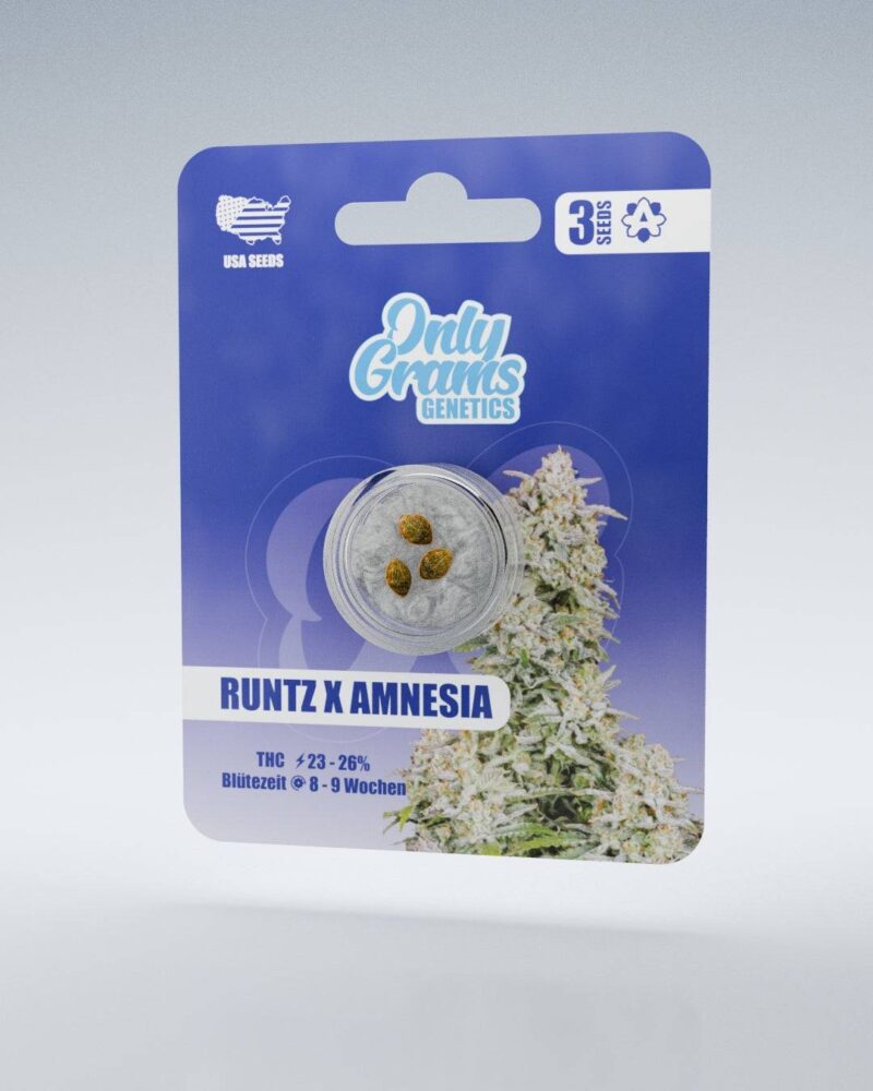 Runtz x Amnesia THC-Seeds - Only Grams