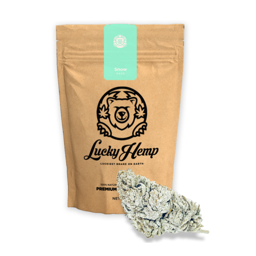 Snow Haze 50% CBD Ökopack - Lucky Hemp