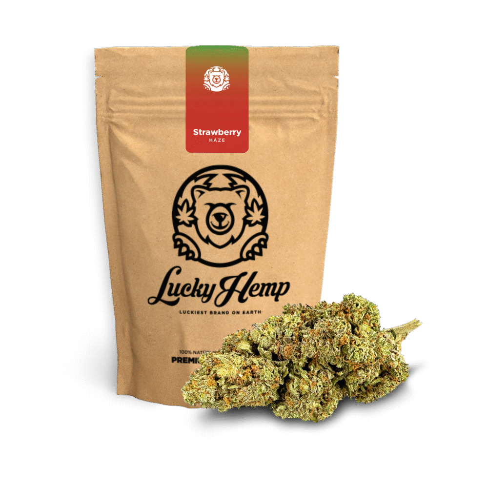 Strawberry Haze Ökopack - Lucky Hemp