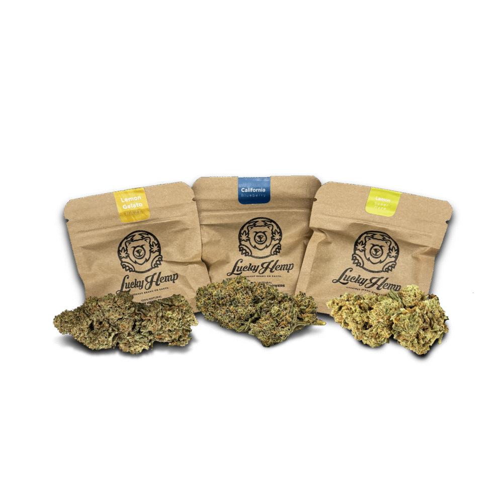 Test-Set 1g - Lucky Hemp