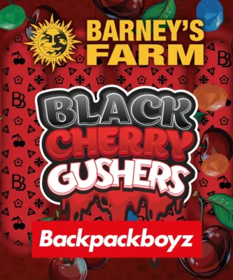 Barneys Farm Black Cherry Gushers 3 Stück - Hanfjack