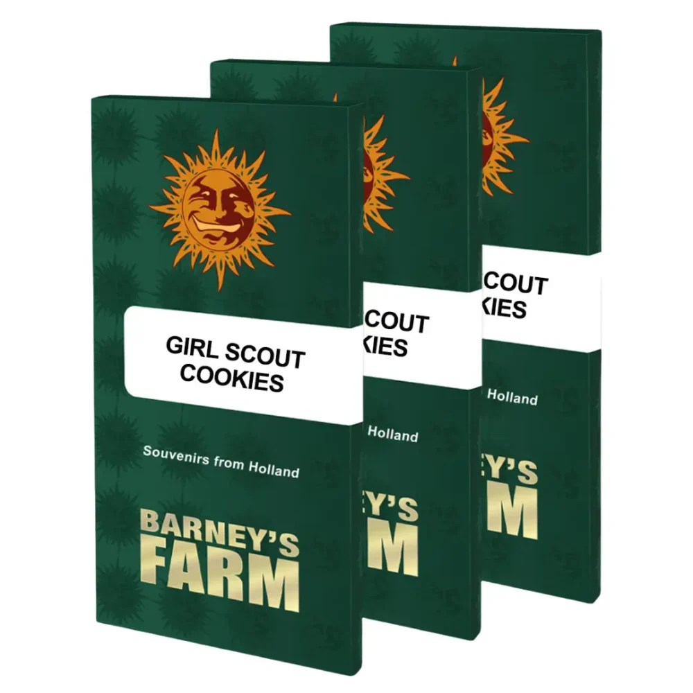 Barneys Farm Girl Scout Cookies 1 Stück - Hanfjack