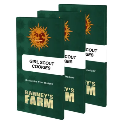 Barneys Farm Girl Scout Cookies 1 Stück - Hanfjack