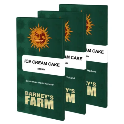 Barneys Farm Ice Cream Cake 3 Stück - Hanfjack