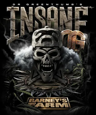 Barneys Farm Insane OG 1 Stück - Hanfjack