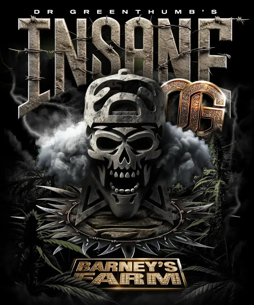 Barneys Farm Insane OG 1 Stück - Hanfjack