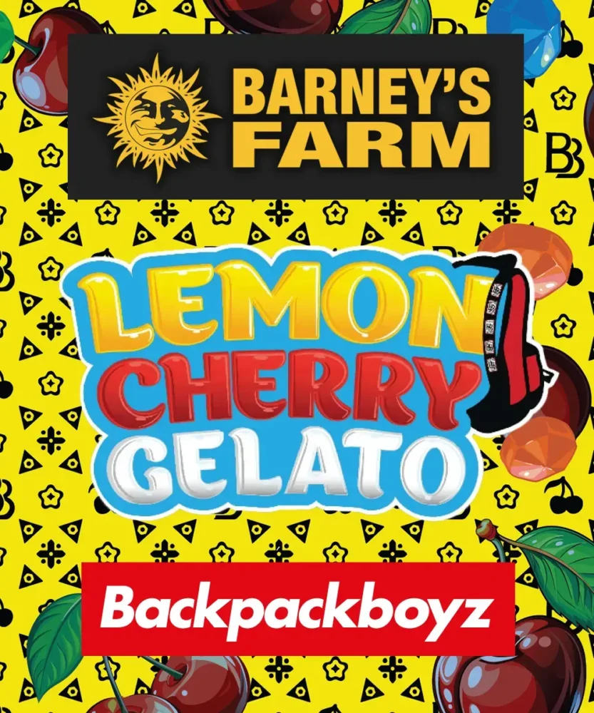 Barneys Farm Lemon Cherry Gelato 3 Stück - Hanfjack