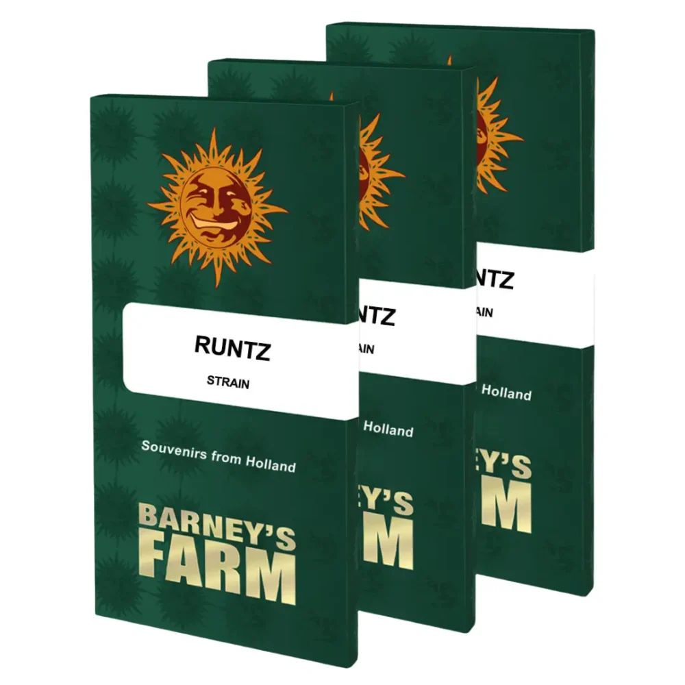 Barneys Farm Runtz 1 Stück - Hanfjack