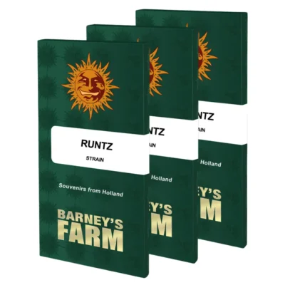 Barneys Farm Runtz 1 Stück - Hanfjack
