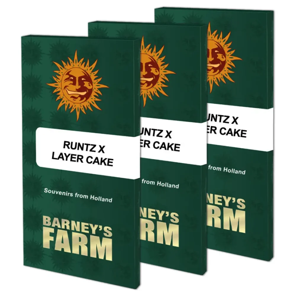 Barneys Farm Runtz x Layer Cake 1 Stück - Hanfjack