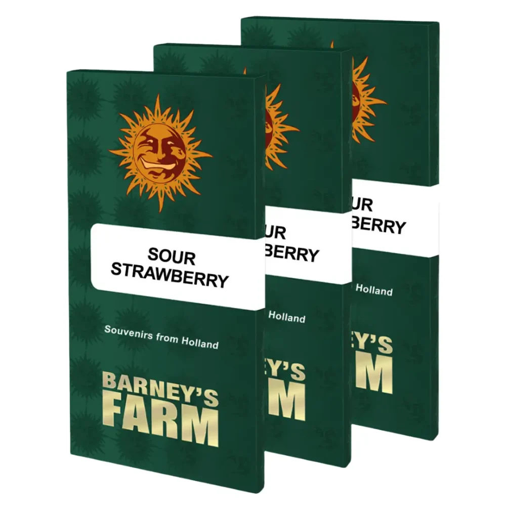 Barneys Farm Sour Strawberry 1 Stück - Hanfjack