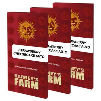 Barneys Farm Strawberry Cheescake Auto 1 Stück - Hanfjack